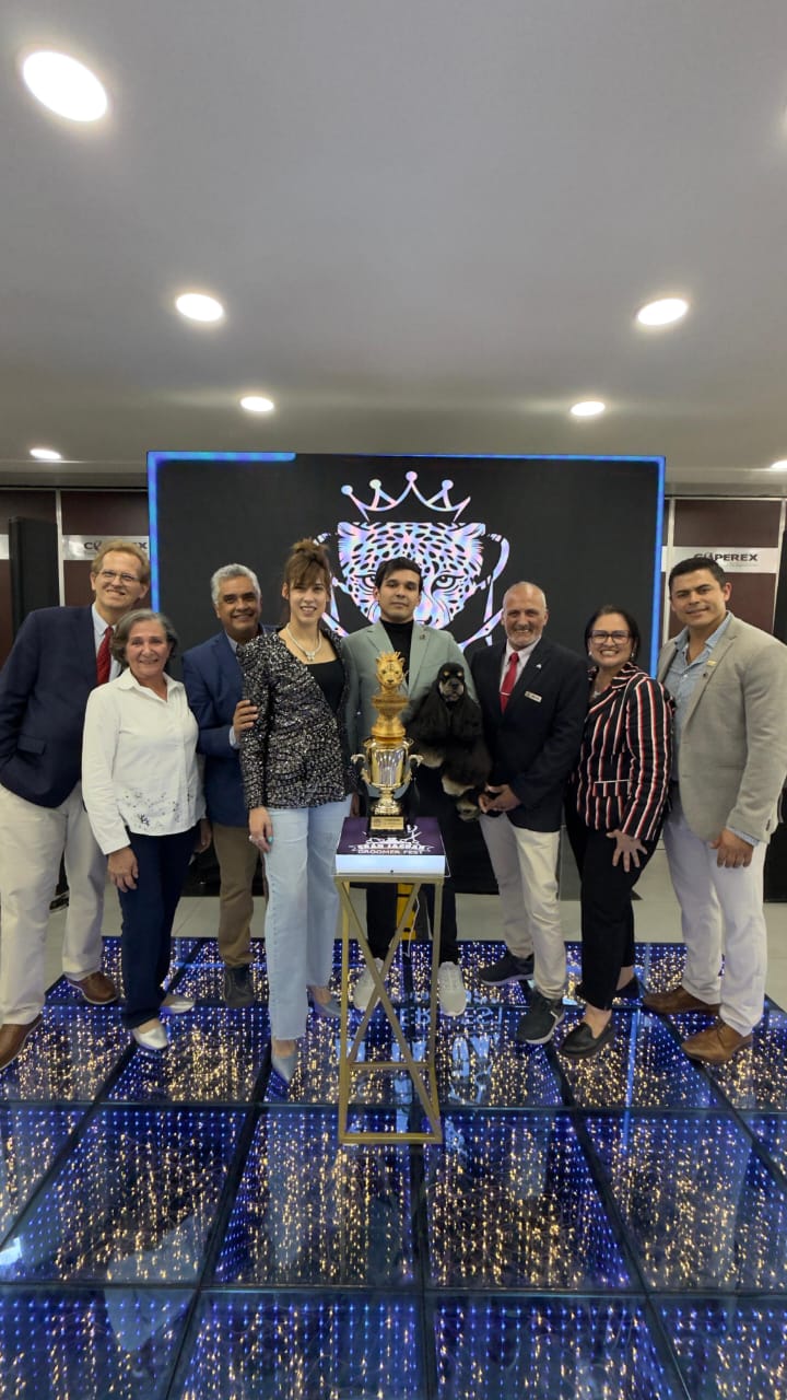 Galería Método DAFE 6